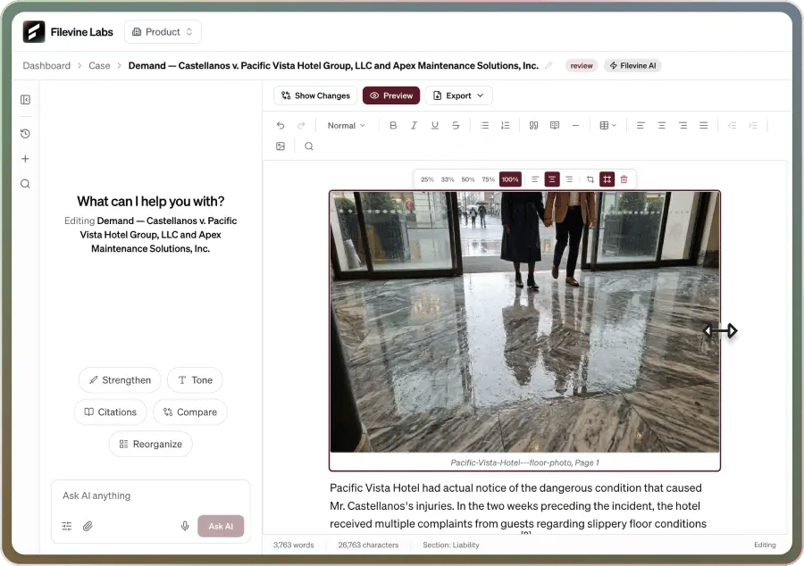 FV_Labs-Image_Example